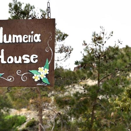 Plumeria House Archangelos  Bagian luar foto
