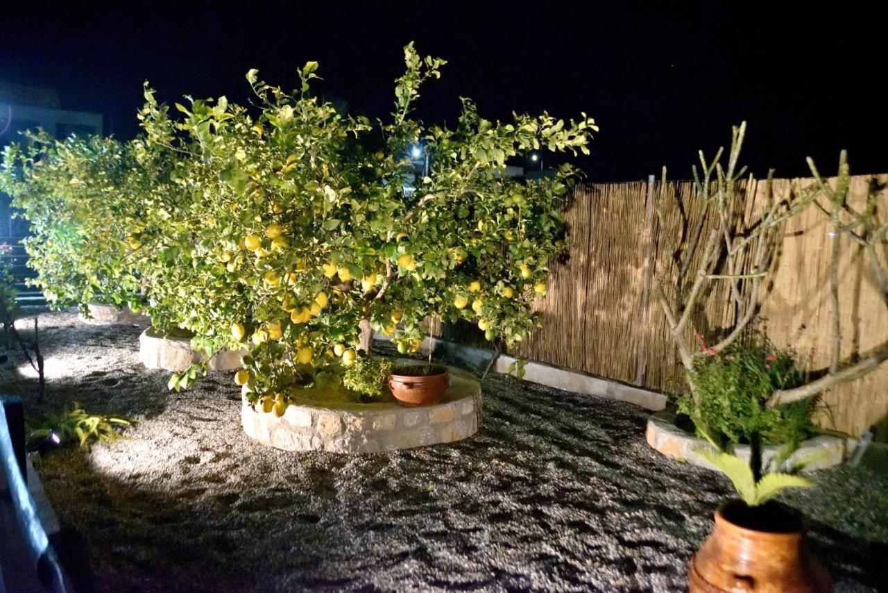 Plumeria House Archangelos  Bagian luar foto